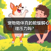 宠物陪伴真的能缓解心理压力吗？