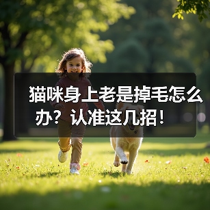 猫咪身上老是掉毛怎么办?认准这几招!(图4) 猫咪身上老是掉毛怎么办?认准这几招!(图4)