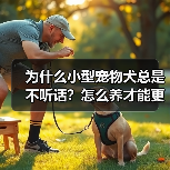 为什么小型宠物犬总是不听话？怎么养才能更听话？（图3）