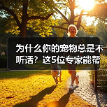 为什么你的宠物总是不听话?这5位专家能帮你解决(图1) 为什么你的宠物总是不听话?这5位专家能帮你解决(图1)