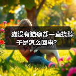 猫没有猫癣却一直挠脖子是怎么回事?(图3) 猫没有猫癣却一直挠脖子是怎么回事?(图3)