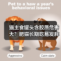 猫主食罐头含胶质危害大?肥猫长期吃易发胖!(图4) 猫主食罐头含胶质危害大?肥猫长期吃易发胖!(图4)