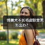 博美犬不长毛皮肤变黑怎么办？
