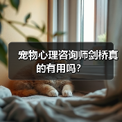 宠物心理咨询师剑桥真的有用吗？（图2）