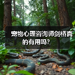 宠物心理咨询师剑桥真的有用吗？（图3）
