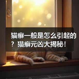 猫癣一般是怎么引起的?猫癣元凶大揭秘!(图4) 猫癣一般是怎么引起的?猫癣元凶大揭秘!(图4)