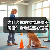 为什么你的宠物总是不听话?看看这些心理学家名字大全(图3) 为什么你的宠物总是不听话?看看这些心理学家名字大全(图3)