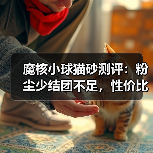 魔核小球猫砂测评:粉尘少结团不足,性价比高?(图3) 魔核小球猫砂测评:粉尘少结团不足,性价比高?(图3)