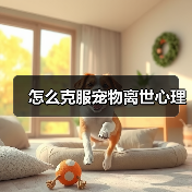 怎么克服宠物离世心理（图3）