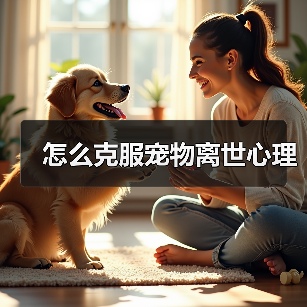 怎么克服宠物离世心理（图4）