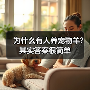 为什么有人养宠物羊?其实答案很简单(图1) 为什么有人养宠物羊?其实答案很简单(图1)