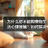 为什么你不能和宠物生活心理接触？如何解决？