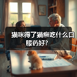 猫咪得了猫癣吃什么口服药好？（图2）