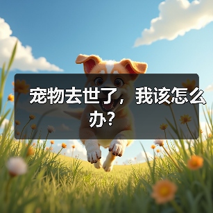 宠物去世了，我该怎么办？