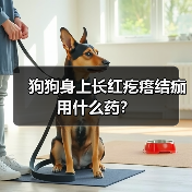 狗狗身上长红疙瘩结痂用什么药?(图4) 狗狗身上长红疙瘩结痂用什么药?(图4)