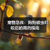 宠物急救:狗狗被虫叮咬后的用药指南(图2) 宠物急救:狗狗被虫叮咬后的用药指南(图2)
