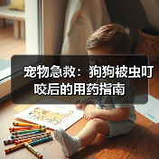 宠物急救：狗狗被虫叮咬后的用药指南