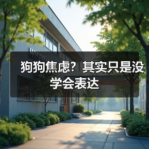 狗狗焦虑？其实只是没学会表达