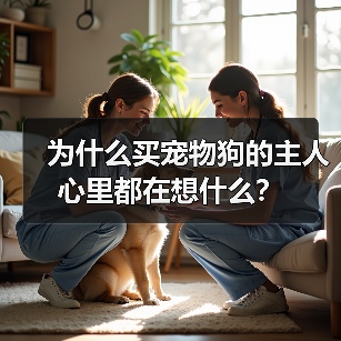 为什么买宠物狗的主人心里都在想什么?(图3) 为什么买宠物狗的主人心里都在想什么?(图3)