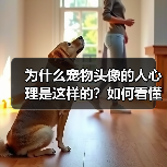 为什么宠物头像的人心理是这样的?如何看懂他们的内心世界?(图2) 为什么宠物头像的人心理是这样的?如何看懂他们的内心世界?(图2)