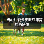 当心!爱犬皮肤红痒背后的秘密(图2) 当心!爱犬皮肤红痒背后的秘密(图2)