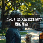 当心!爱犬皮肤红痒背后的秘密(图4) 当心!爱犬皮肤红痒背后的秘密(图4)