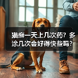 猫癣一天上几次药?多涂几次会好得快些吗?(图2) 猫癣一天上几次药?多涂几次会好得快些吗?(图2)