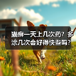 猫癣一天上几次药?多涂几次会好得快些吗?(图4) 猫癣一天上几次药?多涂几次会好得快些吗?(图4)