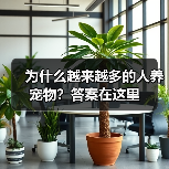 为什么越来越多的人养宠物？答案在这里