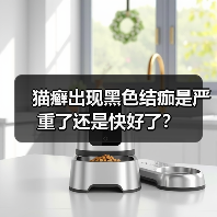 猫癣出现黑色结痂是严重了还是快好了？