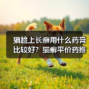 猫脸上长癣用什么药膏比较好?猫癣平价药推荐(图4) 猫脸上长癣用什么药膏比较好?猫癣平价药推荐(图4)