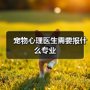 宠物心理医生需要报什么专业(图4) 宠物心理医生需要报什么专业(图4)