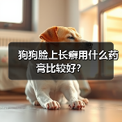 狗狗脸上长癣用什么药膏比较好?(图2) 狗狗脸上长癣用什么药膏比较好?(图2)