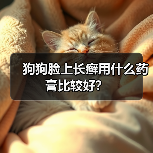狗狗脸上长癣用什么药膏比较好？