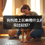 狗狗脸上长癣用什么药膏比较好?(图3) 狗狗脸上长癣用什么药膏比较好?(图3)