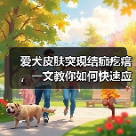 爱犬皮肤突现结痂疙瘩,一文教你如何快速应对!(图2) 爱犬皮肤突现结痂疙瘩,一文教你如何快速应对!(图2)