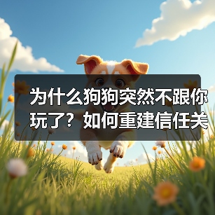 为什么狗狗突然不跟你玩了?如何重建信任关系?(图4) 为什么狗狗突然不跟你玩了?如何重建信任关系?(图4)