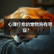 心理疗愈的宠物狗有哪些？（图3）