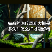 猫癣的治疗周期大概是多久？怎么样才能好得快一点？（图4）
