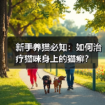 新手养猫必知：如何治疗猫咪身上的猫癣？