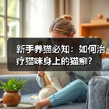 新手养猫必知:如何治疗猫咪身上的猫癣?(图4) 新手养猫必知:如何治疗猫咪身上的猫癣?(图4)