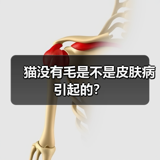 猫没有毛是不是皮肤病引起的?(图3) 猫没有毛是不是皮肤病引起的?(图3)