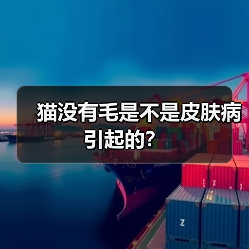 猫没有毛是不是皮肤病引起的?(图4) 猫没有毛是不是皮肤病引起的?(图4)