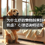 为什么你的宠物越来越焦虑？心理咨询师能帮上忙吗？