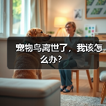 宠物鸟离世了，我该怎么办？
