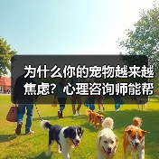 为什么你的宠物越来越焦虑?心理咨询师能帮上忙吗?(图4) 为什么你的宠物越来越焦虑?心理咨询师能帮上忙吗?(图4)