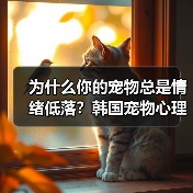 为什么你的宠物总是情绪低落?韩国宠物心理治疗师教你如何改善(图1) 为什么你的宠物总是情绪低落?韩国宠物心理治疗师教你如何改善(图1)
