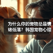 为什么你的宠物总是情绪低落?韩国宠物心理治疗师教你如何改善(图3) 为什么你的宠物总是情绪低落?韩国宠物心理治疗师教你如何改善(图3)