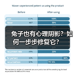 兔子也有心理阴影?如何一步步修复它?(图2) 兔子也有心理阴影?如何一步步修复它?(图2)