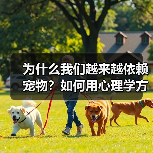 为什么我们越来越依赖宠物?如何用心理学方法获得情绪价值(图1) 为什么我们越来越依赖宠物?如何用心理学方法获得情绪价值(图1)